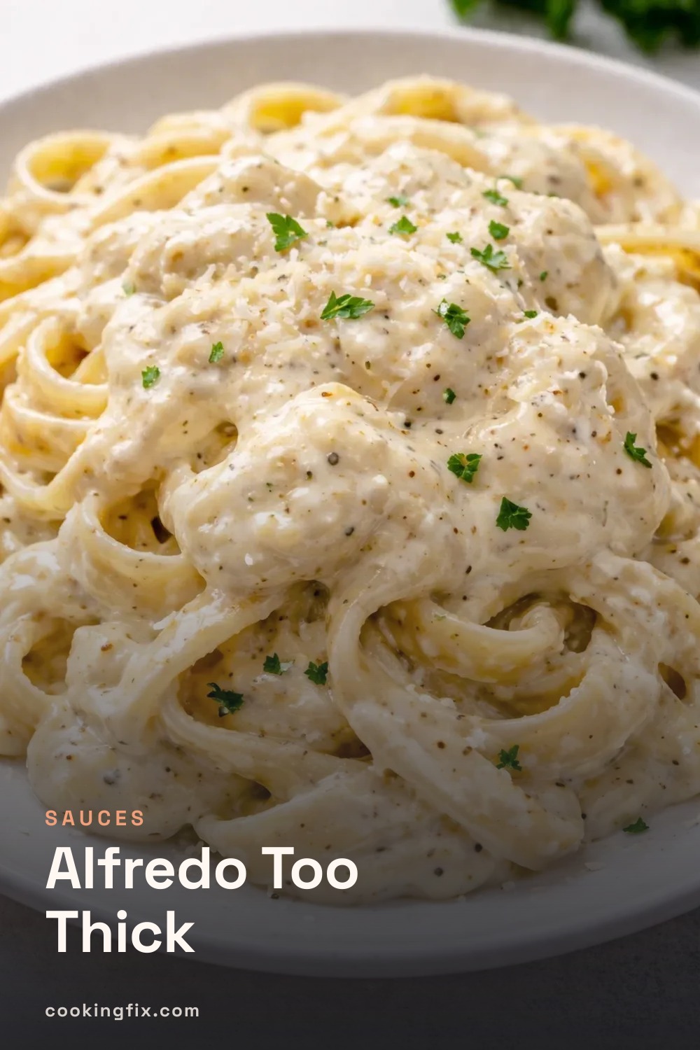 Alfredo Too Thick