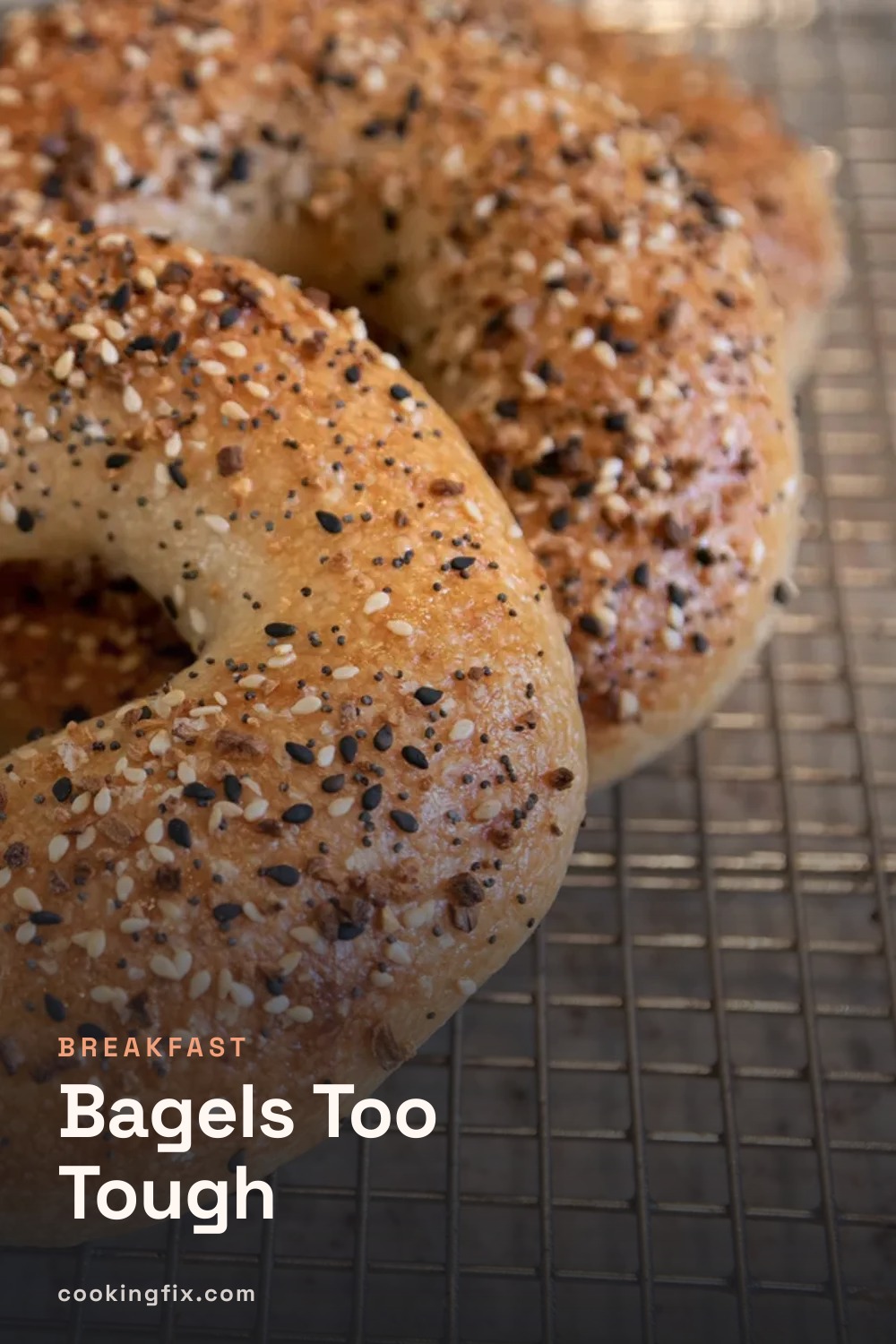 Bagels Too Tough