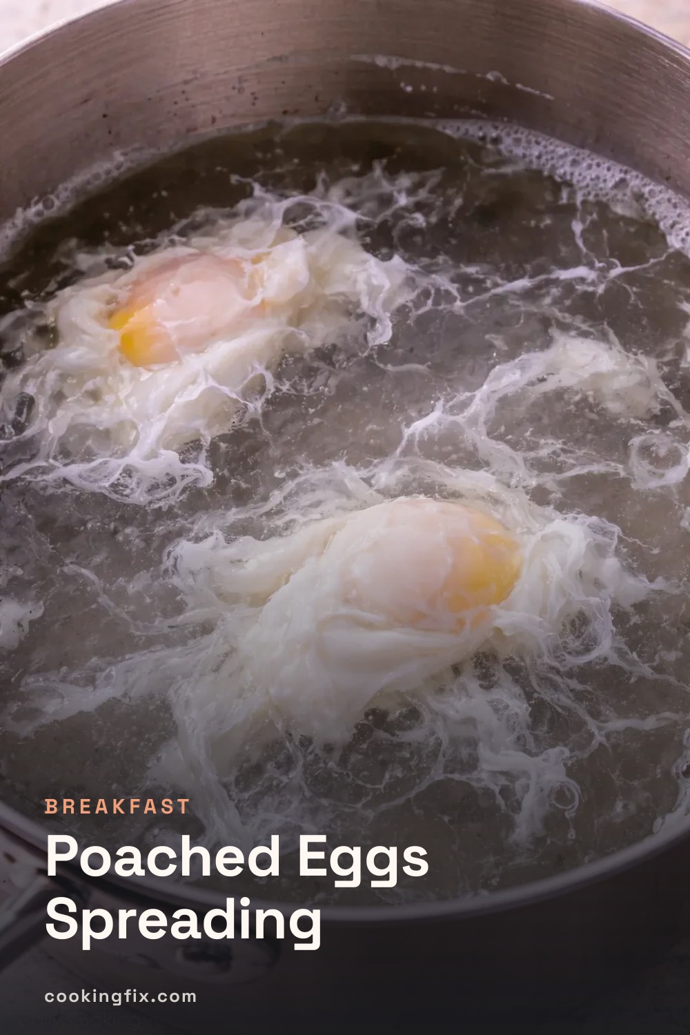 Poached Eggs Spreading